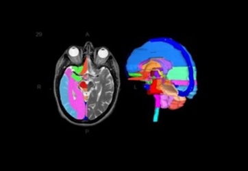 Anatom-e Radiology